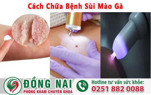 da khoa hong phuc