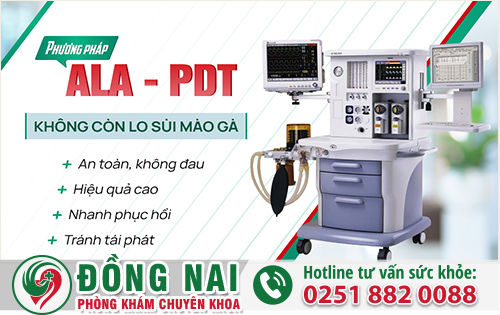 Phương Pháp Ala-pdt Nhiều Người Lựa Chọn Ngày Nay