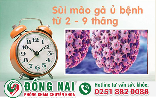 Thời Gian Ủ Bệnh Sùi Mào Gà Là Bao Lâu?