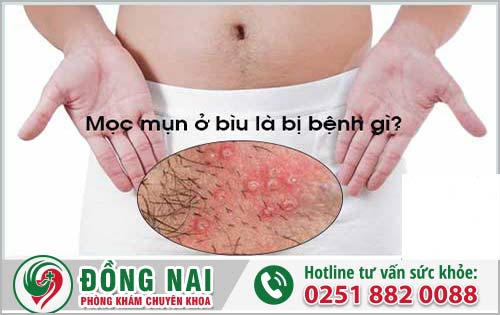 da khoa hong phuc