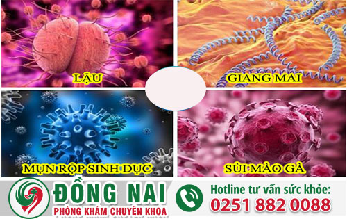 da khoa hong phuc