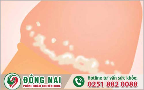 da khoa hong phuc