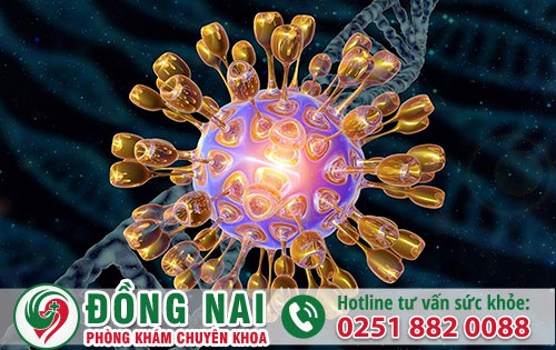 Bệnh do Herpes Simplex Virus gây ra là bệnh gì?