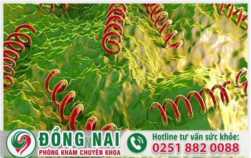 Bệnh giang mai nhận biết sớm chữa kịp thời