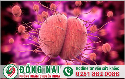 Bệnh Lậu căn bệnh nguy hiểm lây lan nhanh cần biết