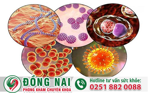 Bệnh STDS Là Gì? Địa Chỉ Xét Nghiệm Bệnh Tình Dục Uy Tín Biên Hòa