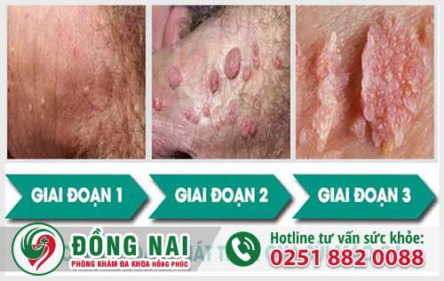 da khoa hong phuc