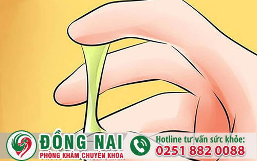 Bộ Phận Sinh Dục Chảy Mủ Là Dấu Hiệu Bệnh Gì?