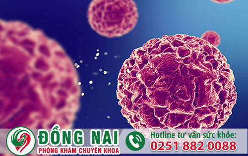 Cảnh báo nguy cơ sùi mào gà từ dương vật nổi mụn