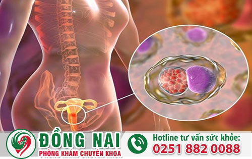Chữa trị bệnh lậu ở nữ giới