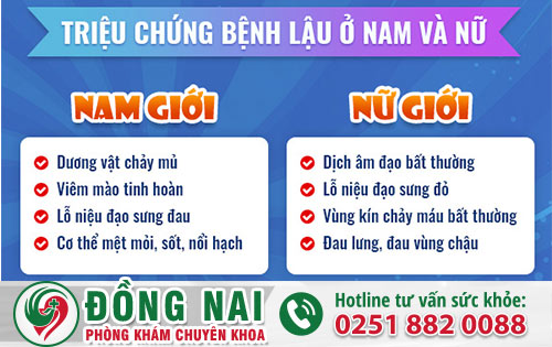 da khoa hong phuc