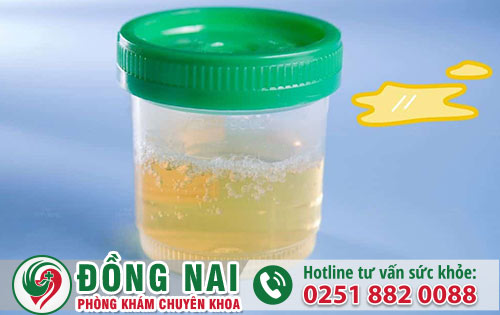 da khoa hong phuc