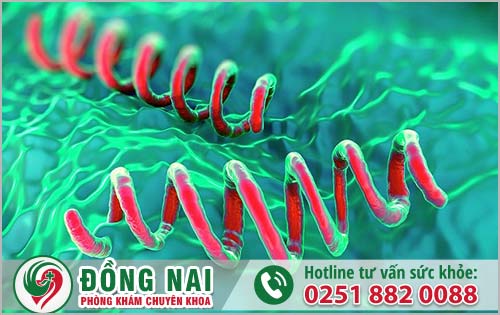 da khoa hong phuc