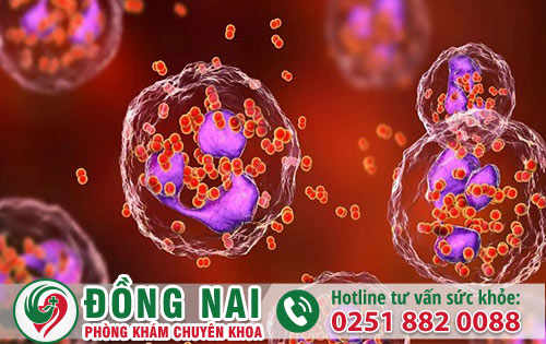 Hỗ trợ chữa bệnh Lậu ở đâu hiệu quả và an toàn tại Đồng Nai?