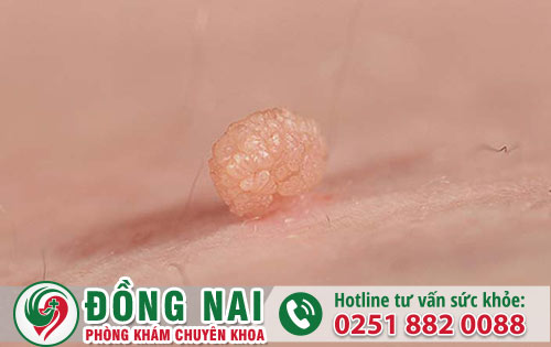 da khoa hong phuc