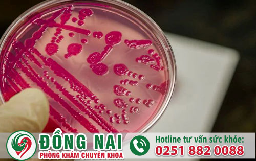 Nguy cơ mắc bệnh lậu từ triệu chứng đi tiểu rát có mủ