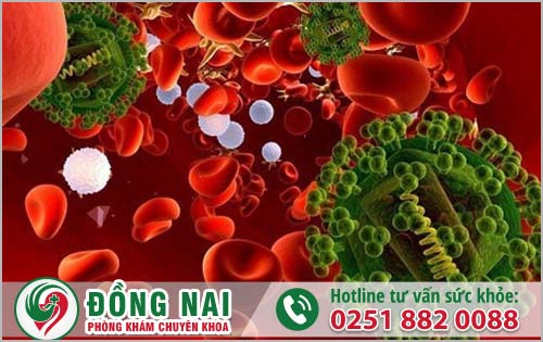 da khoa hong phuc