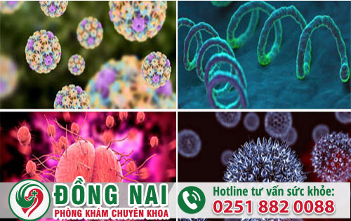 Những Bệnh Xã Hội Nguy Hiểm Hiện Nay Anh Chị Nên Nhân Biết Sớm