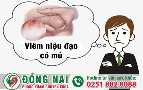 da khoa hong phuc
