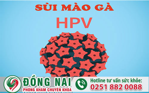 Nổi cục thịt dư tỉ lệ mắc sùi mào gà cao