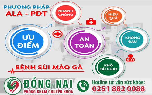 da khoa hong phuc