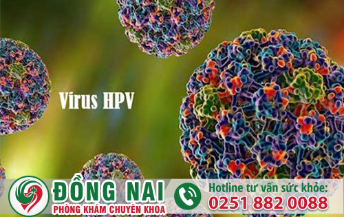 Sự nguy hiểm củ bệnh sùi mào gà tác động thế nào đến sức khỏe?