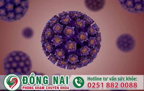 Sùi mào gà ở nữ giới có gây ngứ ngáy khó chịu không?