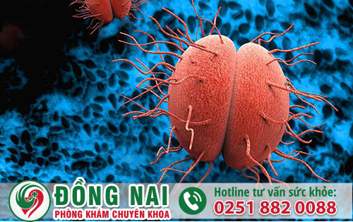 Tìm hiểu về bệnh Lậu và những nguy hại mà nó gây ra bệnh nhân nên biết.