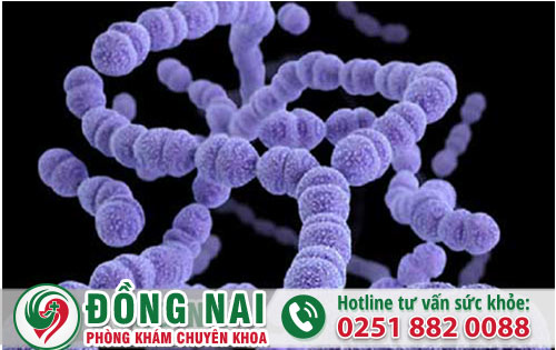 Các Gia Đoạn Bệnh Lậu Nói Lên Sức Khỏe Của Bạn