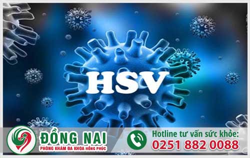 Virus HSV là bệnh gì?